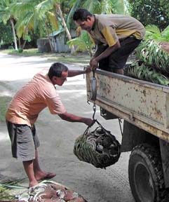 Copra Buyer